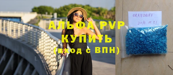 стаф Алзамай