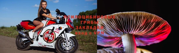 apvp Алексеевка