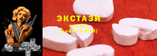 стаф Алзамай