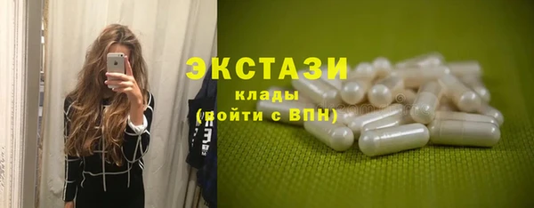стаф Алзамай