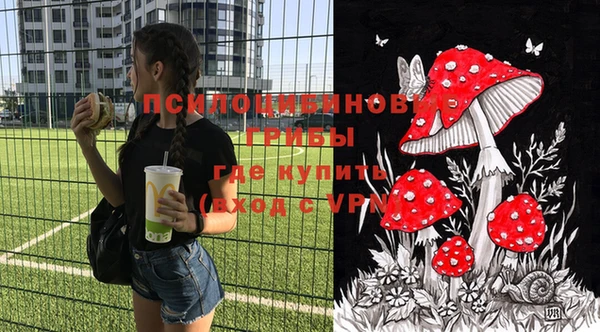 apvp Алексеевка