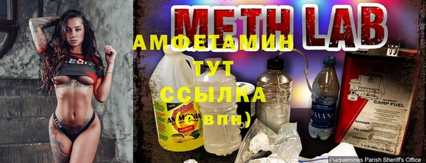 стаф Алзамай