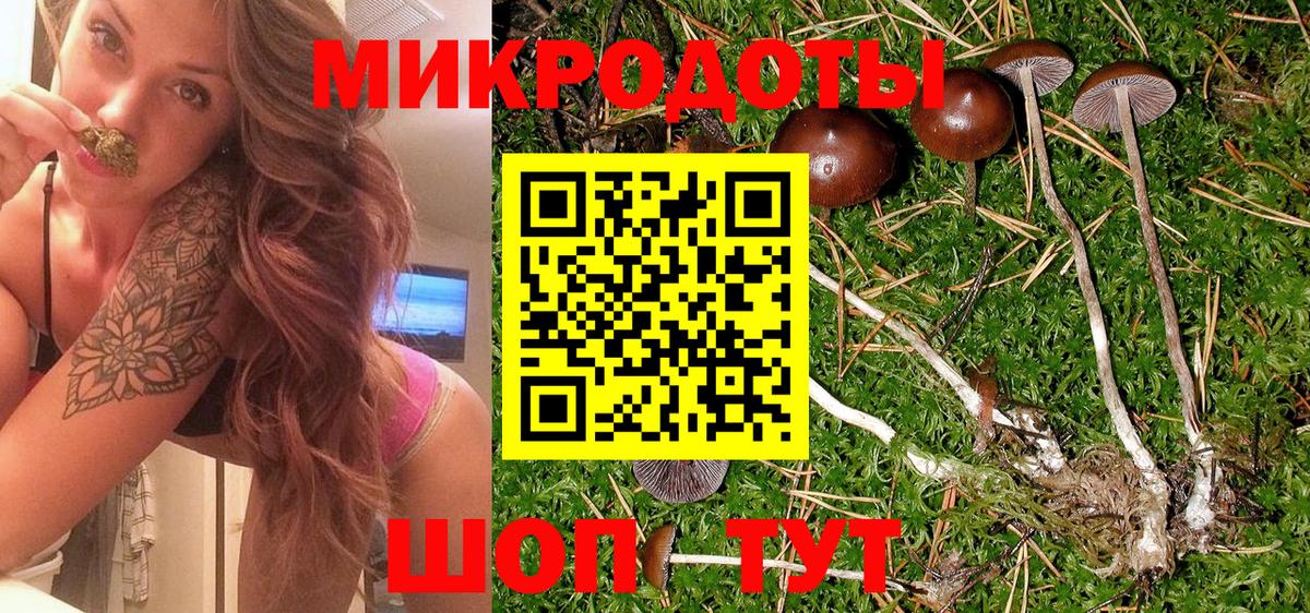 Псилоцибиновые грибы мицелий Чусовой