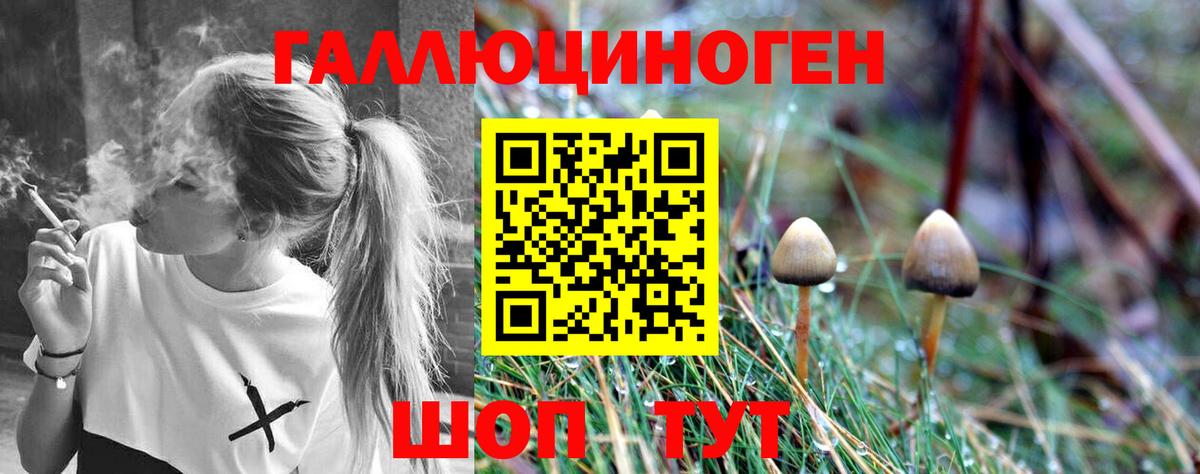 Чусовой  Псилоцибиновые грибы Magic Shrooms  Вход с VPN  Галлюциногенные грибы Psilocybine cubensis 